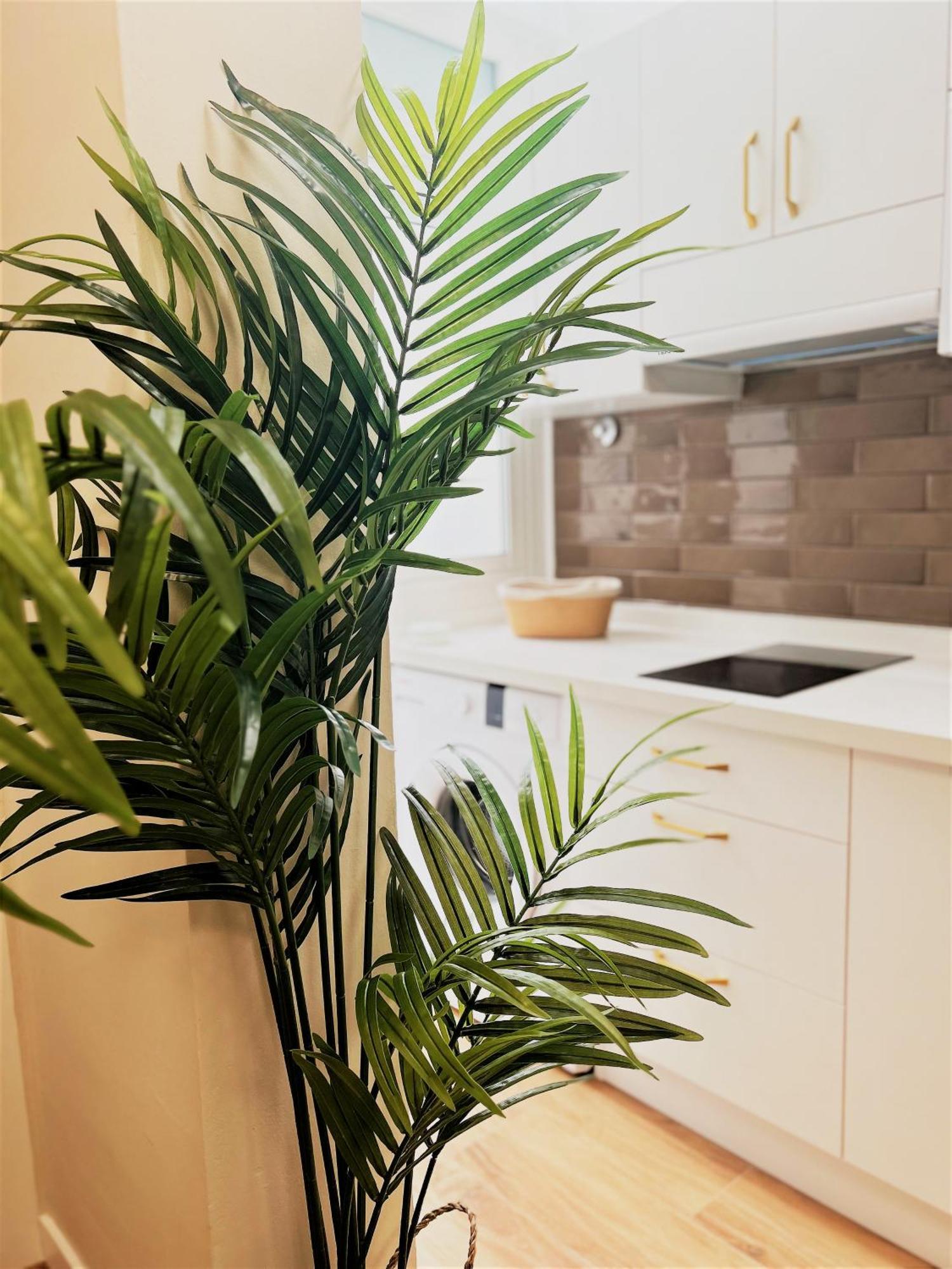Apartamentos Pepita ซานเซบาสเตียน เด ลาโกเมรา ภายนอก รูปภาพ